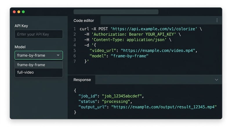 Konzept-Illustration einer Developer-API-Konsole mit Colorize-Endpunkt und JSON-Response