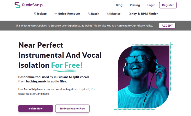 AudioStrip online vocal remover.png