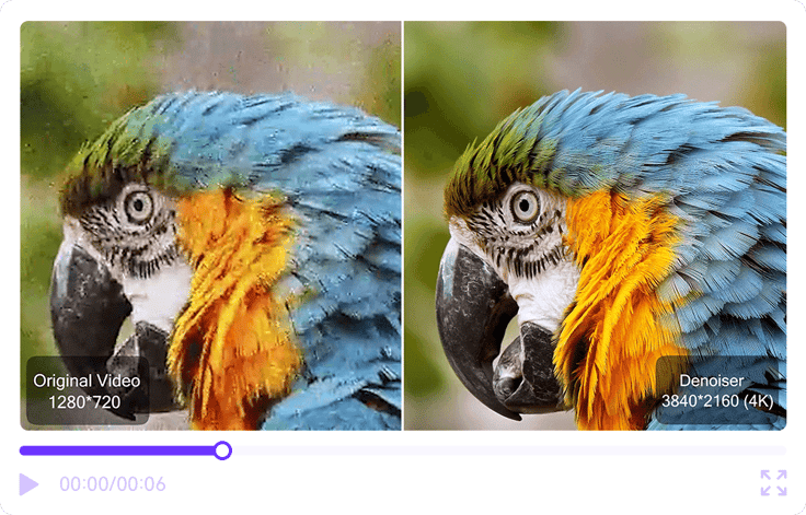 Noise reduction effect for animal videos
