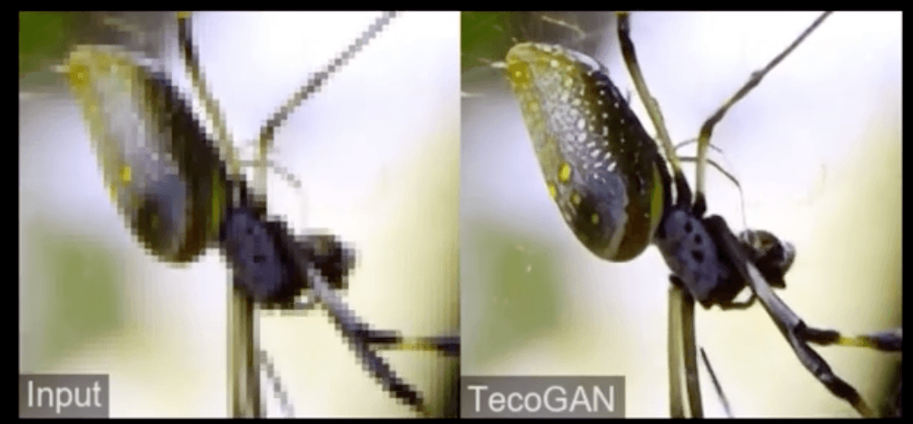 TecoGANの超解像結果でズーム時の輪郭を比較する画面