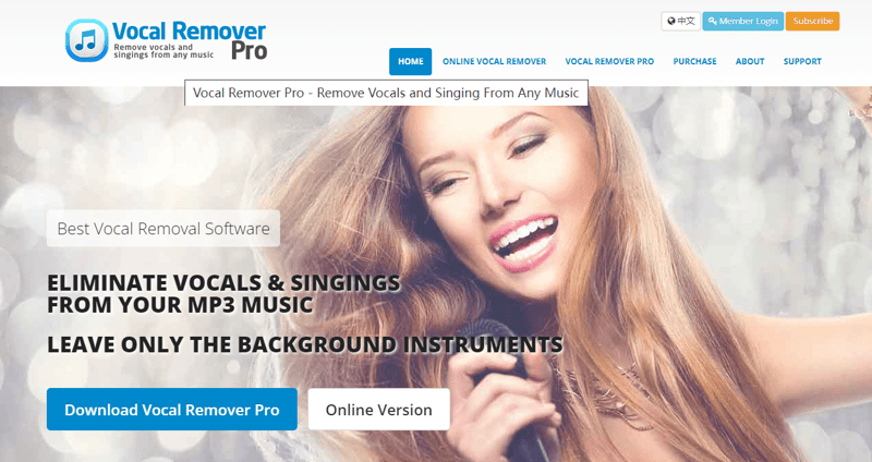 vocal remover pro interface