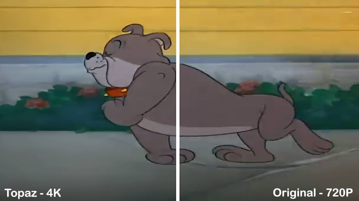 topaz-upscaling-dog