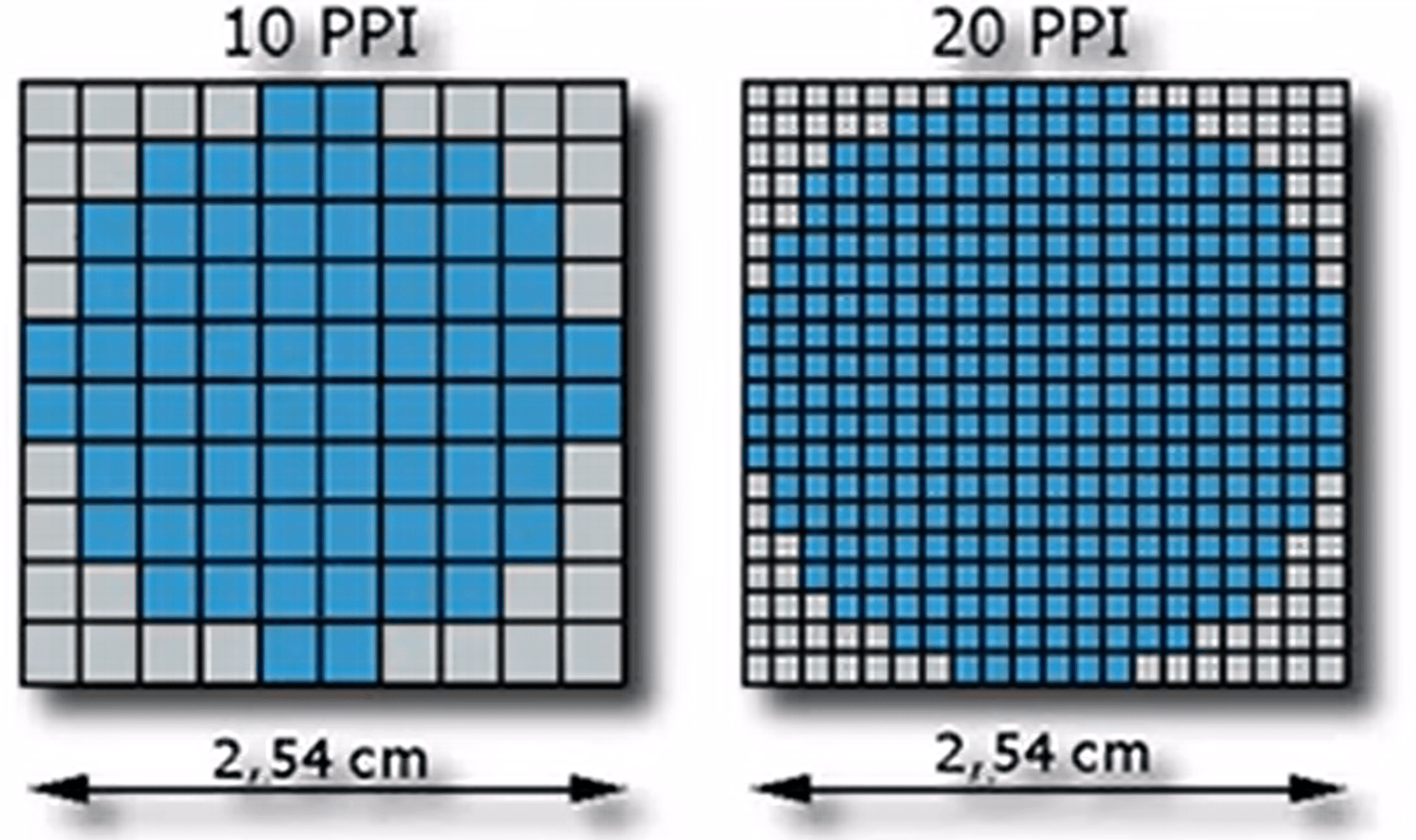 10ppiと20ppiの違い