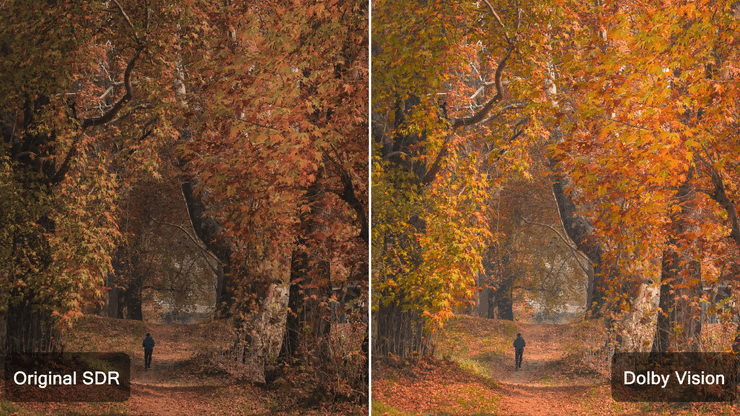 performance of SDR to HDR