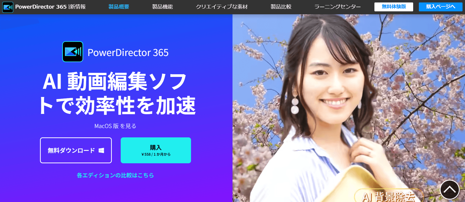 PowerDirector