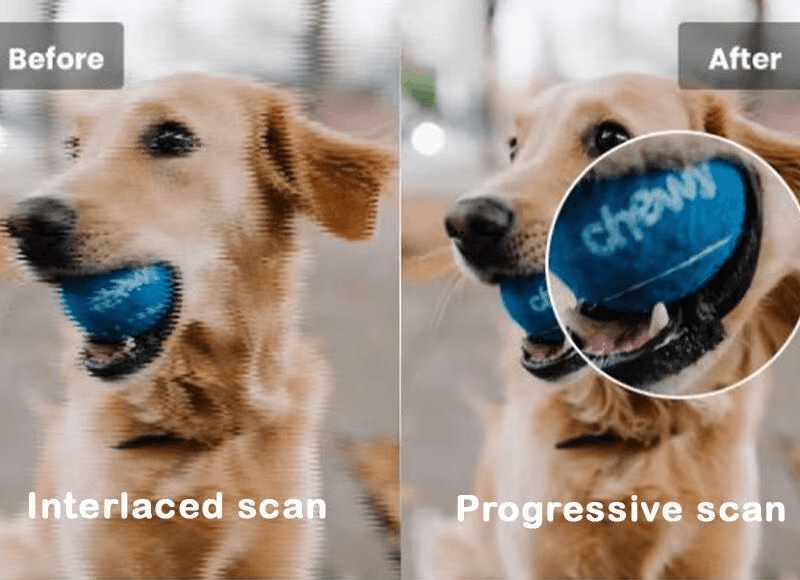 Interlaced vs Progressive Video.png