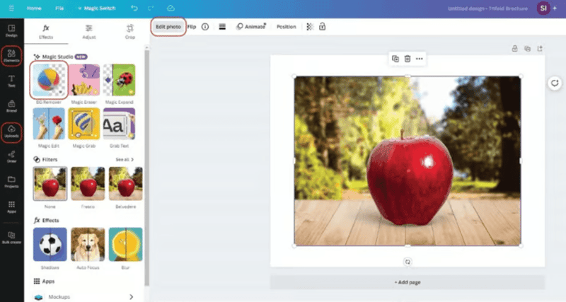 Canva remove background from video - upload