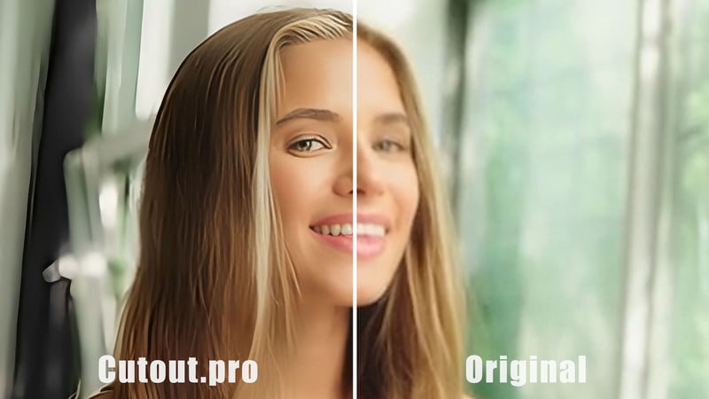 cutout.pro performance