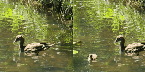 截屏2025-12-16 11.25.53.png