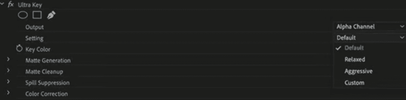 Remove background from video in Premiere Pro - alpha view