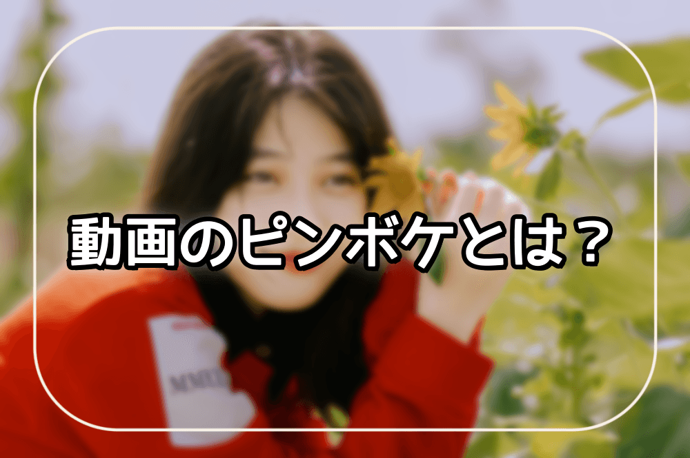 動画のぼけ原因を4種類に分けた補正方法の比較図
