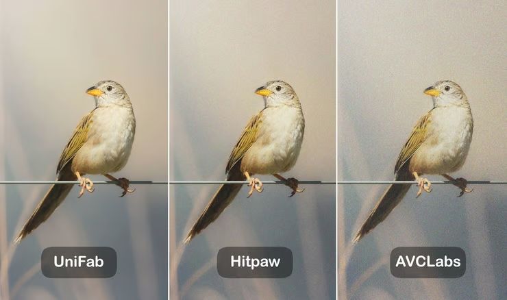 Leistung beim Video Rauschen Entfernen.jpg