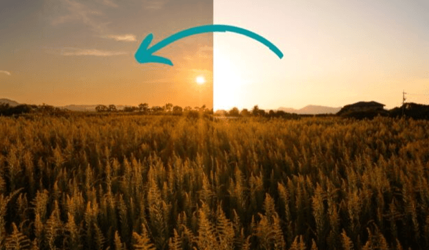 截屏2026-02-24 17.15.35.png