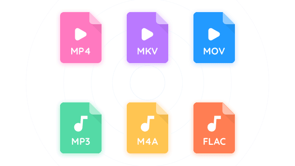 Video Converter Pro format support