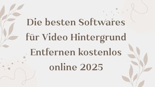 Die besten Softwares für Video Hintergrund Entfernen kostenlos online 2025