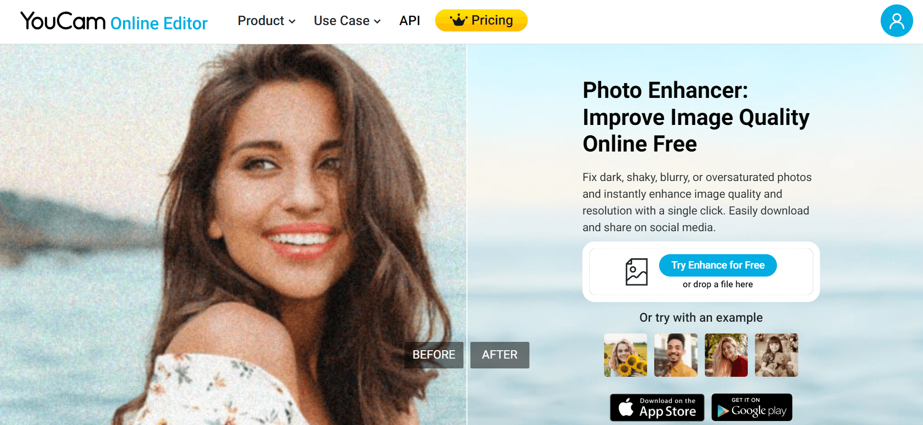 YouCam Online Editor interface