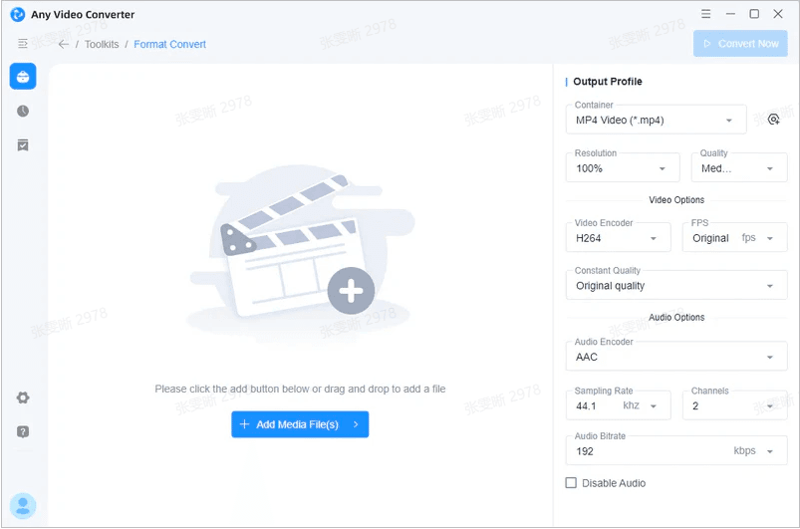 any video converter test