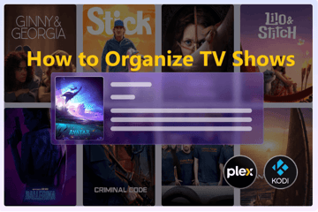 Organizing Shows with UniFab TV Show Converter: Declutter Your Digital Library