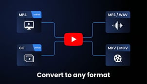YouTube Video Converter: One Free Desktop App for MP4, MP3, GIF, and 1,000+ Formats