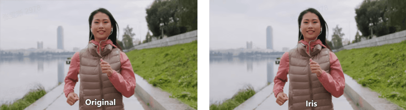 original vs. topaz video ai's iris model