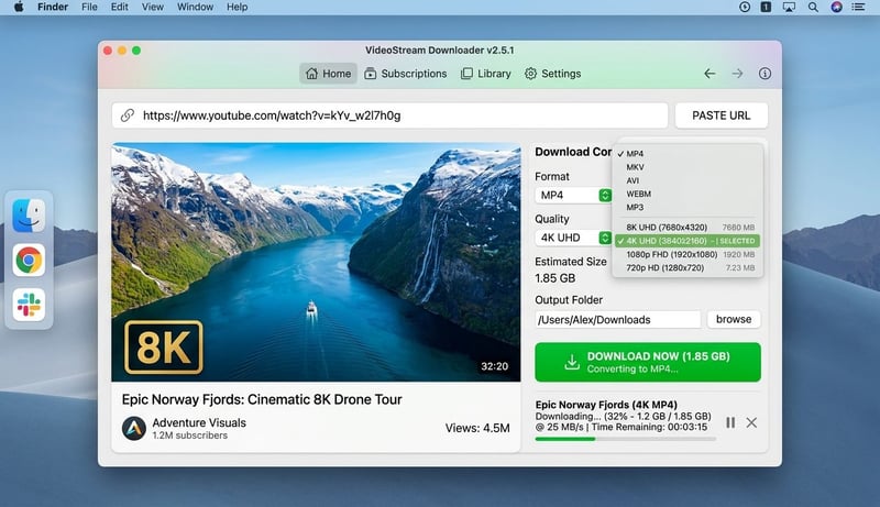 4K Video Downloader Interface