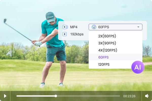 frame interpolation options