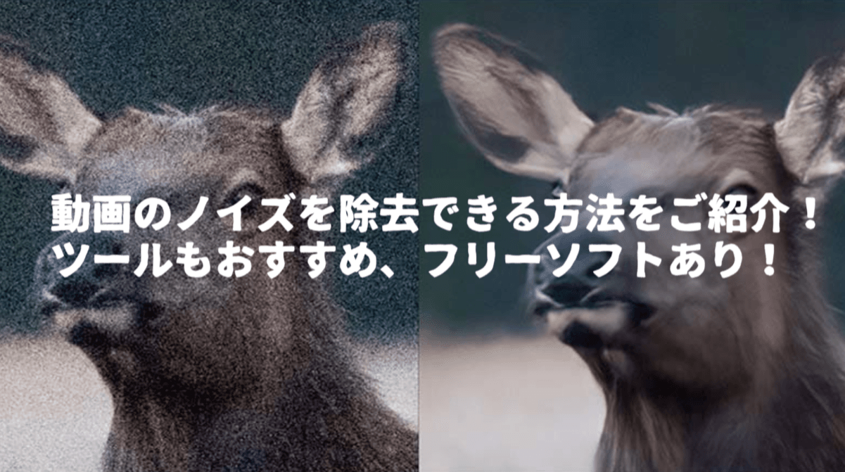 【2026年最新】動画のノイズを除去する方法｜原因別の対処法とAIツールを完全解説