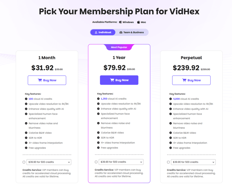 aiseesoft video enhancer pricing screenshot