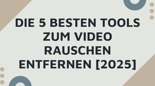 Die 5 besten Tools zum Video Rauschen Entfernen [2025]