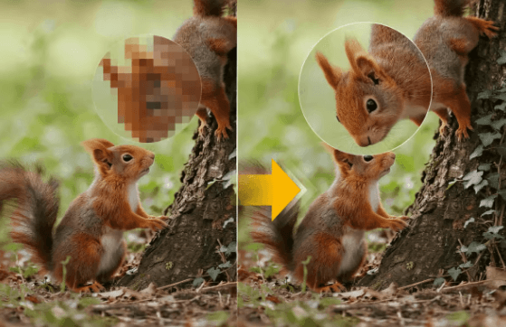 截屏2026-02-13 11.19.00.png