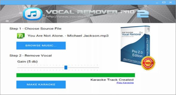 Vocal Remover Pro step