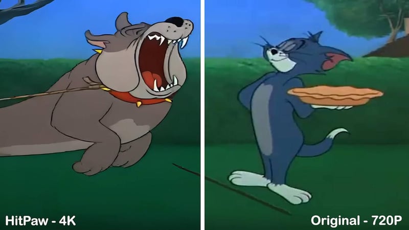 hitpaw-4k-animation video