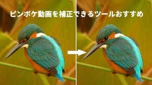 最新｜ピンボケ動画を補正できるソフト・アプリ５選【PC・iPhone・Android編】