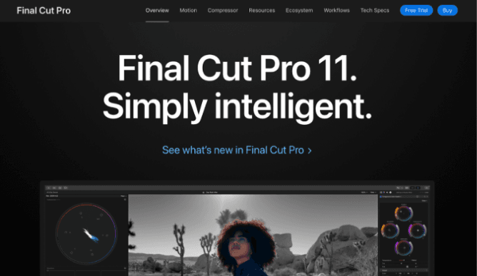 final cut pro grain remover