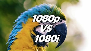 1080i VS 1080p: Which Is Better?