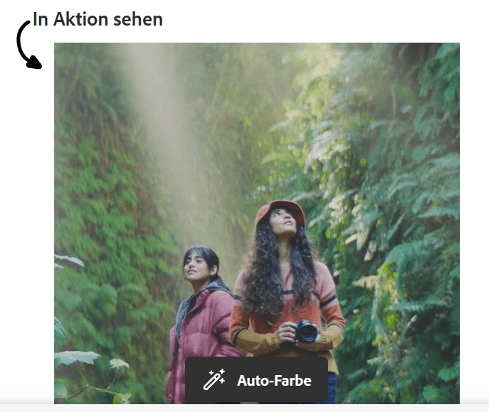 Adobe Premiere Pro – Teure und komplexe CapCut Alternative.png