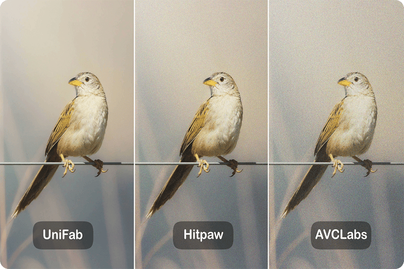 effect comparison of AI Video Denoisers