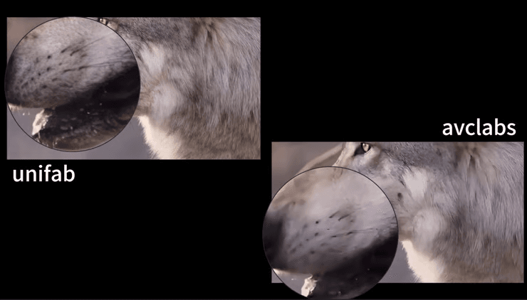 Hochskalierung von Tiervideos von 720p auf 4K.png