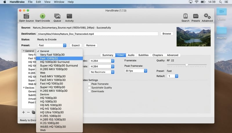 HandBrake Preset-Auswahl