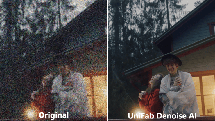 unifab denoise video effect