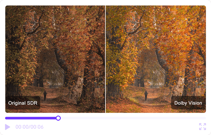 sdr vs. dolby vision image