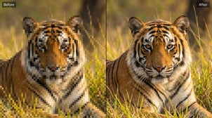 AI Mosaic Remover: Best Tools to Remove Mosaic Blur from Video, Compared (2026)