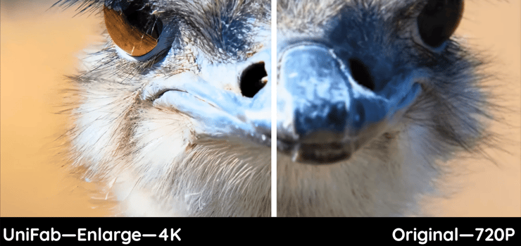 unifab 4k upscaling for animal video