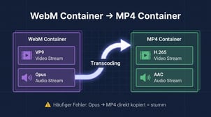 WebM in MP4 umwandeln: 5 Tools und der 3-Schritte-Weg