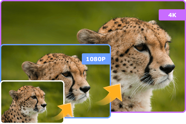 Enlarge Video Resolution up to 4K