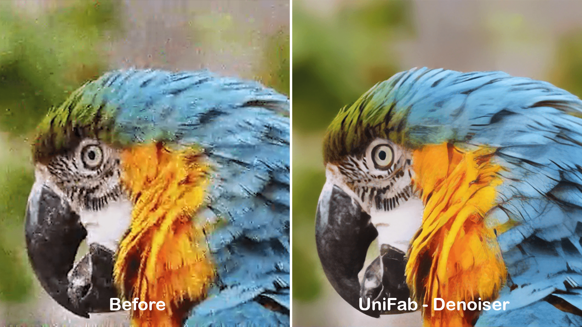 UniFab-denoiser performance