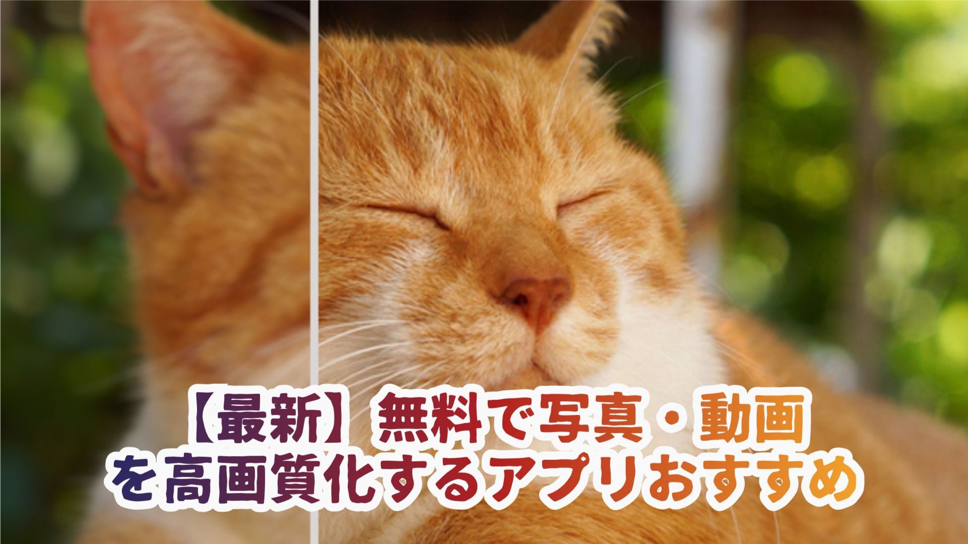 写真・動画高画質化アプリ おすすめ9選【2026年版】PC・スマホ対応