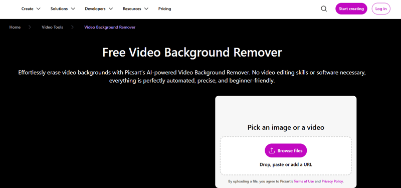 picsart video background remover.png
