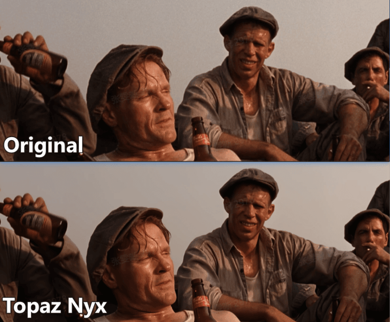 topaz nyx model performance