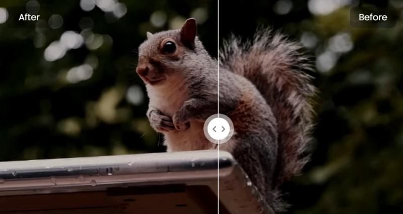 Hitpaw Free AI Video Enhancer Software Performance.jpg